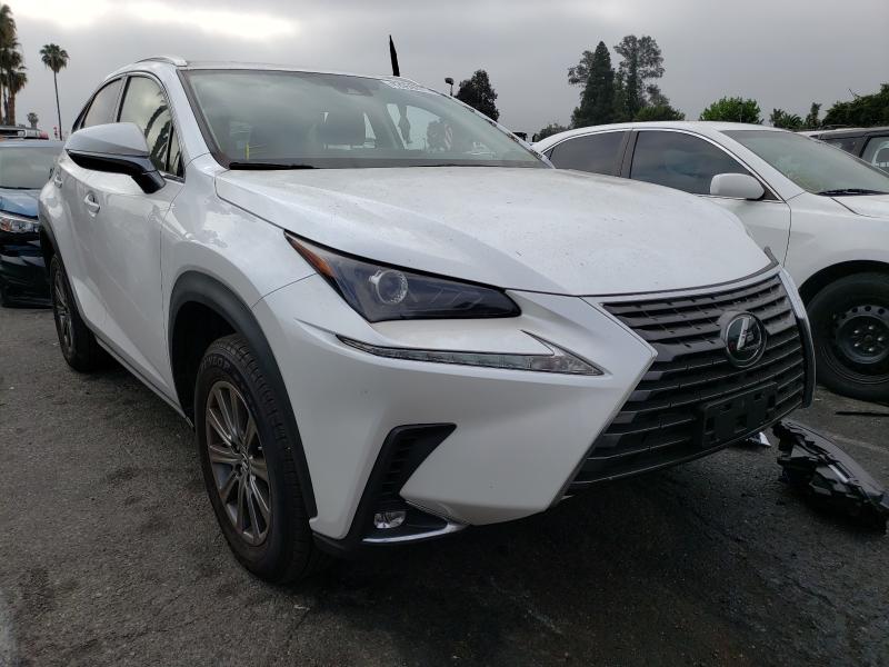 Lexus Nx 300 bas (2020)