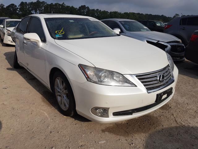 Lexus Es 350 (2010)