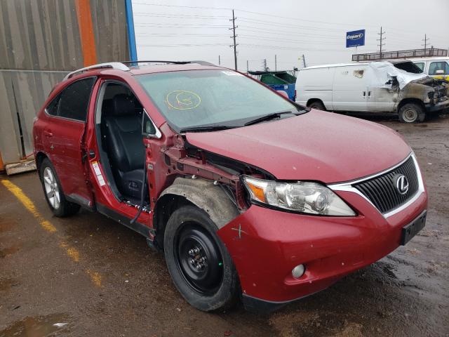 Lexus Rx 350 (2010)