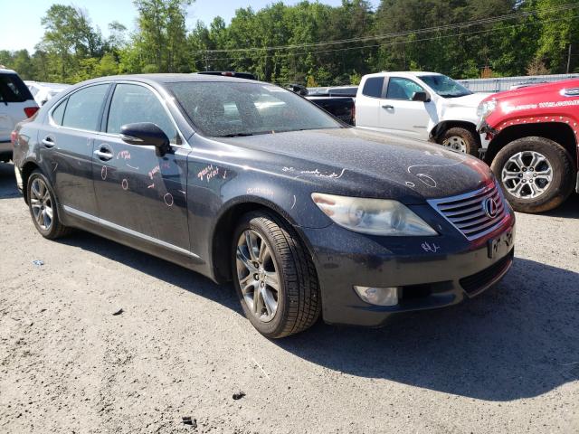 Lexus Ls 460 (2011)