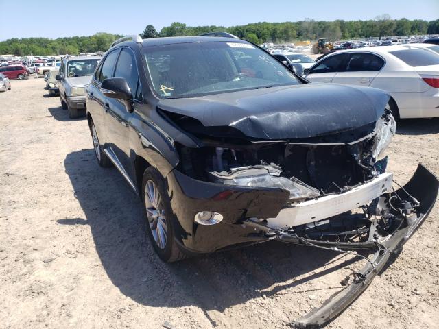 Lexus Rx 350 (2013)