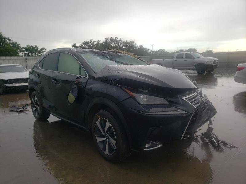 Lexus Nx 300 bas (2018)