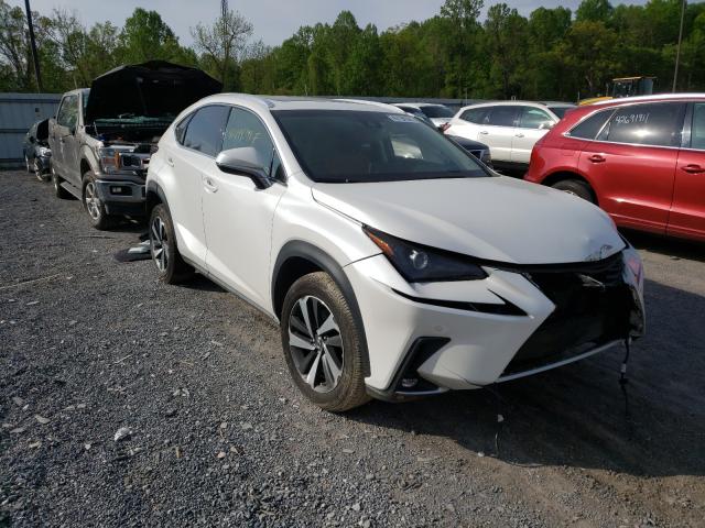 Lexus Nx 300 bas (2019)