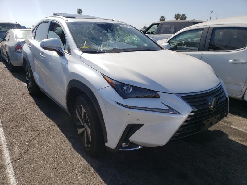 Lexus Nx 300 bas (2019)
