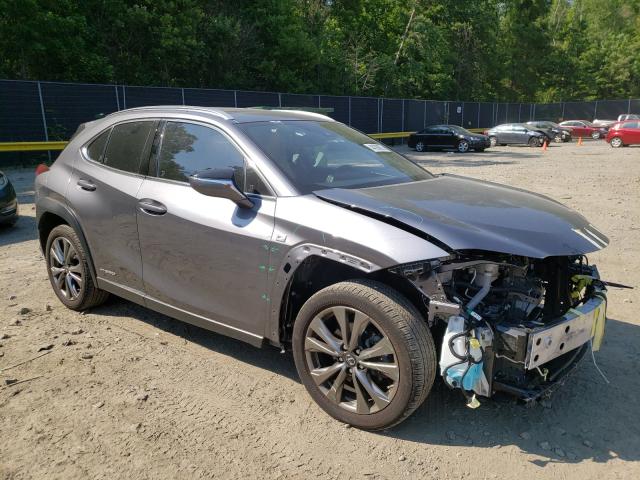 Lexus Ux250h (2019)