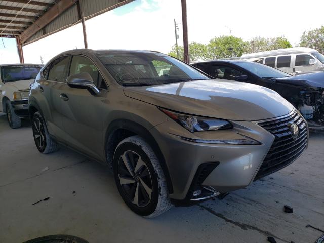 Lexus Nx 300 (2020)