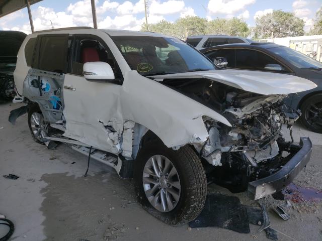 Lexus Gx 460 pre (2021)