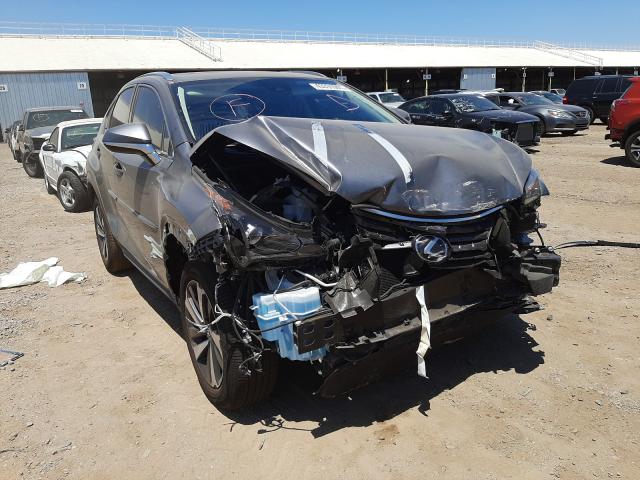 Lexus Nx 300 bas (2021)