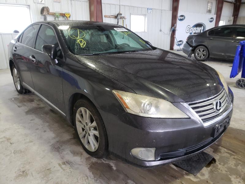 Lexus Es 350 (2010)
