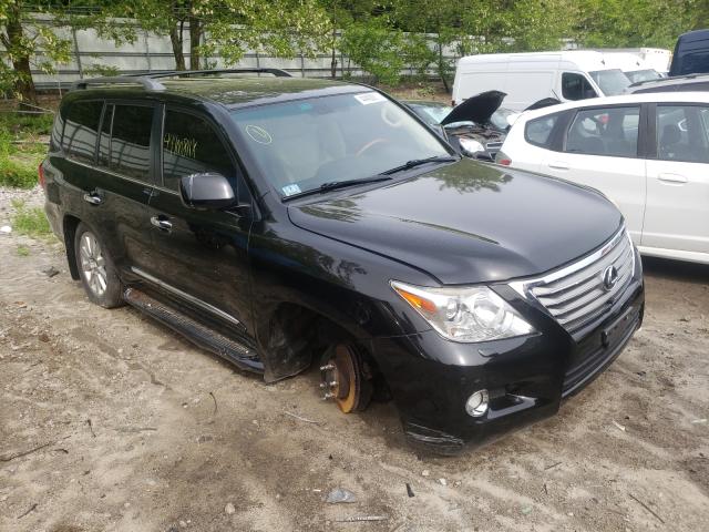 Lexus Lx 570 (2011)