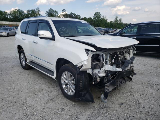 Lexus Gx 460 (2019)