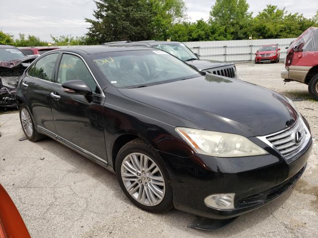 Lexus Es 350 (2011)