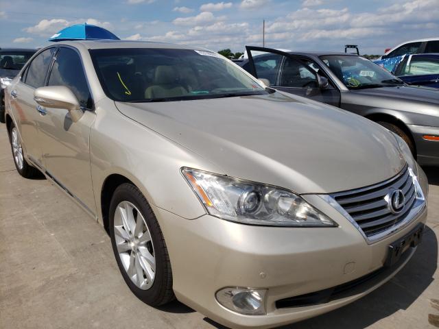 Lexus Es 350 (2010)