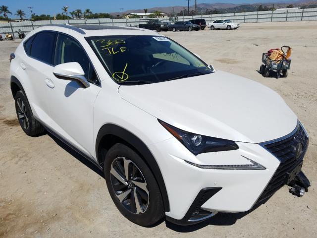Lexus Nx 300 (2020)