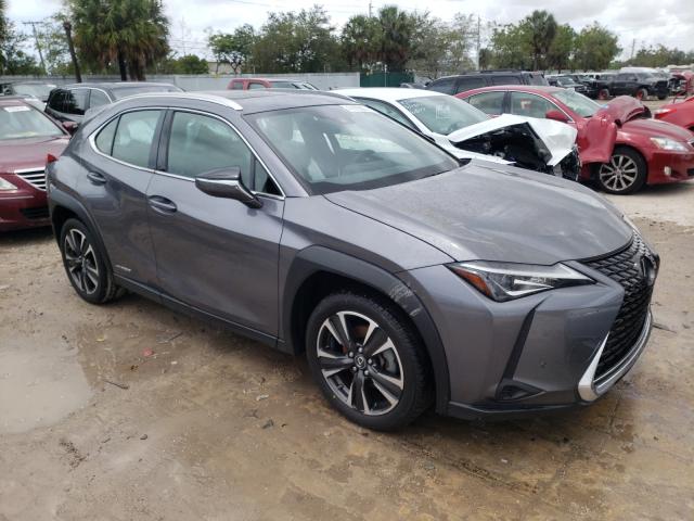 Lexus Ux 250h (2019)