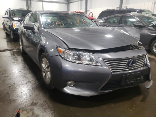 Lexus Es 300h (2013)