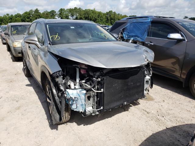 Lexus Nx 300 (2020)