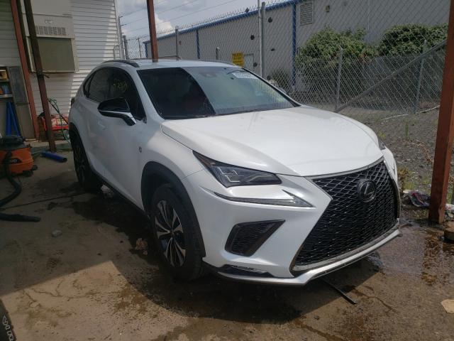 Lexus Nx 300 bas (2019)