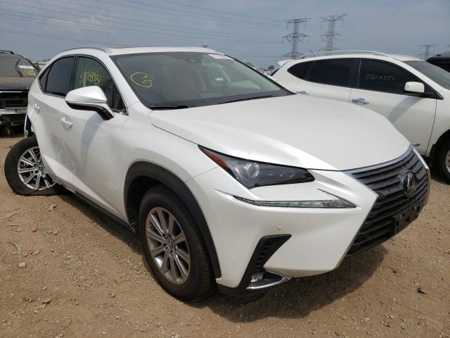 Lexus Nx 300 bas (2021)
