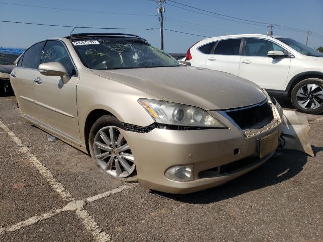 Lexus Es 350 (2010)