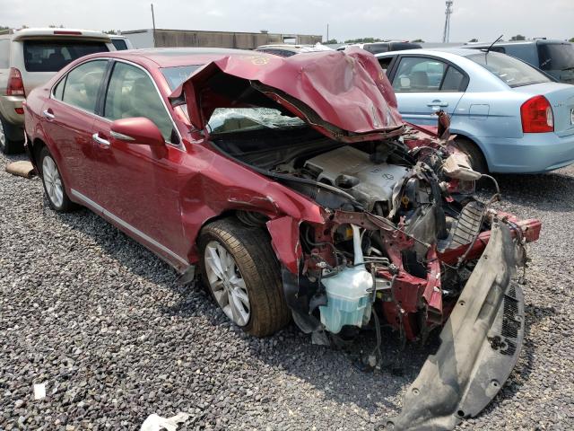 Lexus Es 350 (2010)