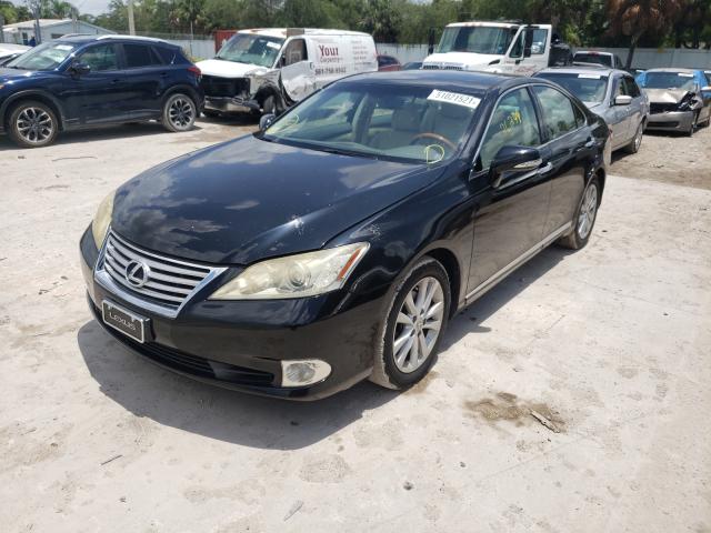 Lexus Es 350 (2010)
