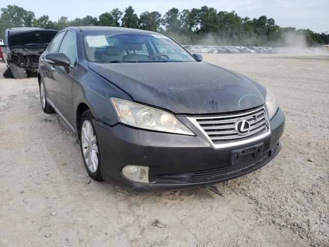 Lexus Es 350 (2010)