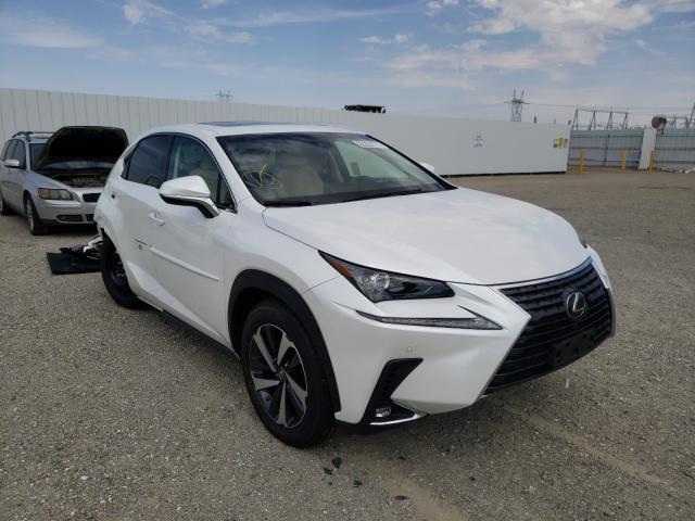 Lexus Nx 300 bas (2018)
