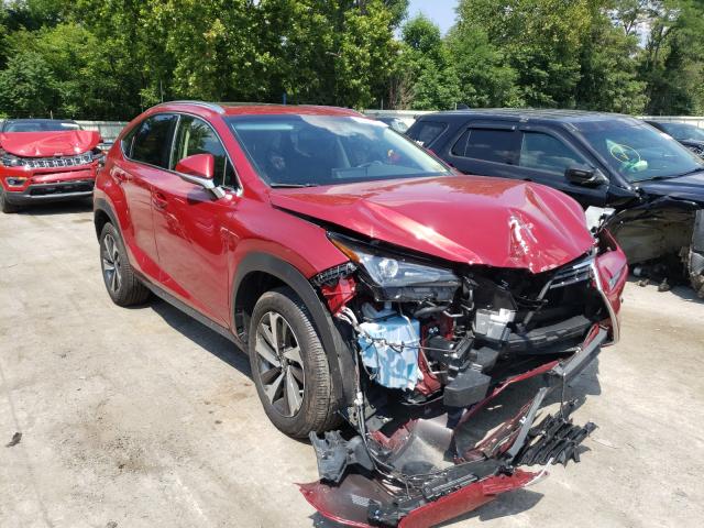 Lexus Nx 300 bas (2019)
