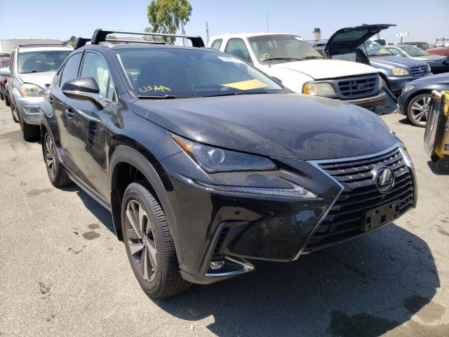Lexus Nx 300h ba (2021)