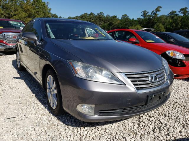Lexus Es 350 (2012)