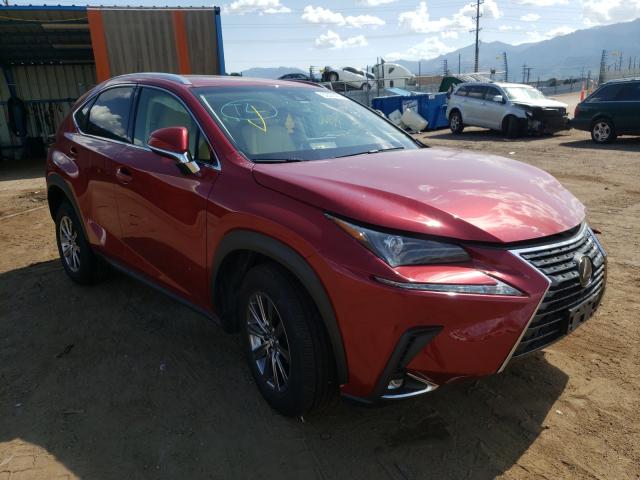 Lexus Nx 300 bas (2019)