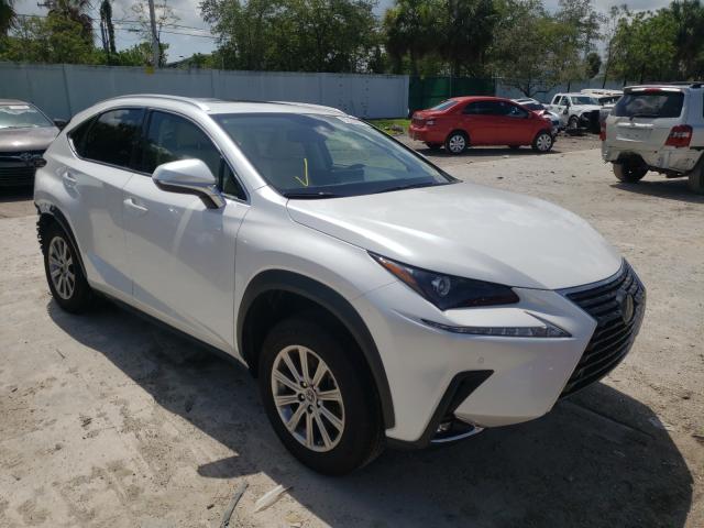 Lexus Nx 300 bas (2021)
