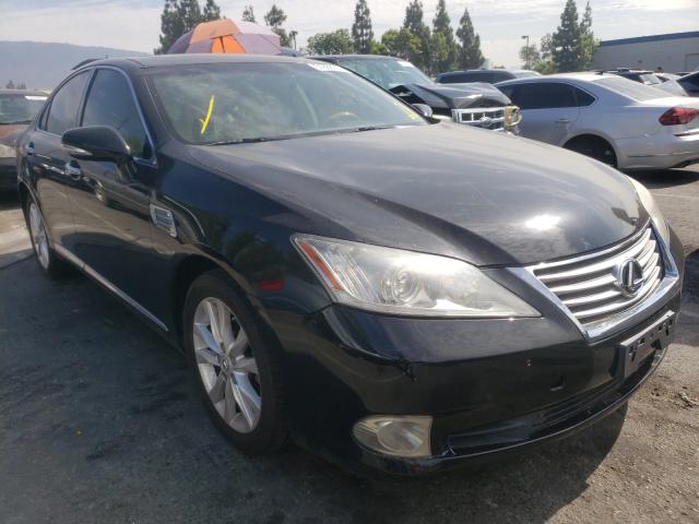 Lexus Es 350 (2010)