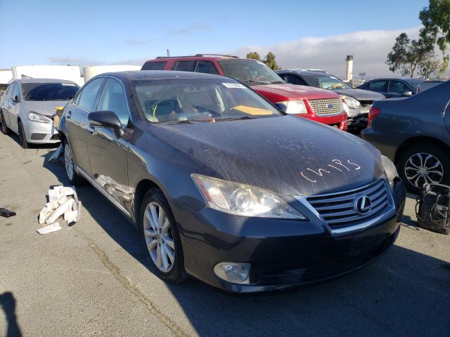 Lexus Es 350 (2011)