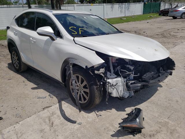 Lexus Nx 300 bas (2019)