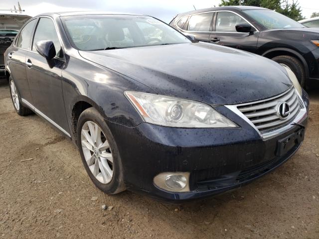 Lexus Es 350 (2010)