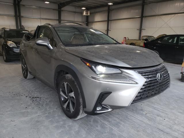 Lexus Nx 300 (2020)