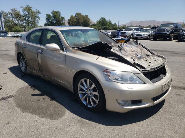 Lexus Ls 460 (2010)