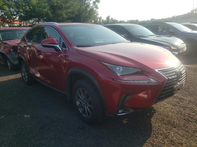 Lexus Nx 300 bas (2019)