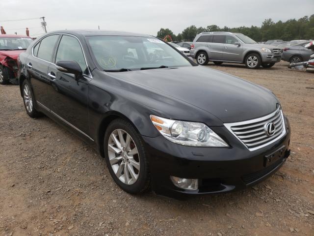 Lexus Ls 460 (2011)