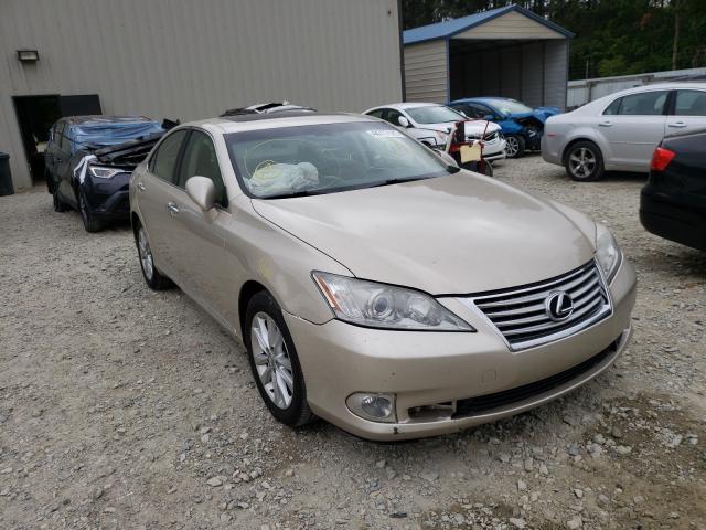 Lexus Es 350 (2010)