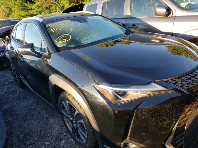 Lexus Ux 250h (2019)