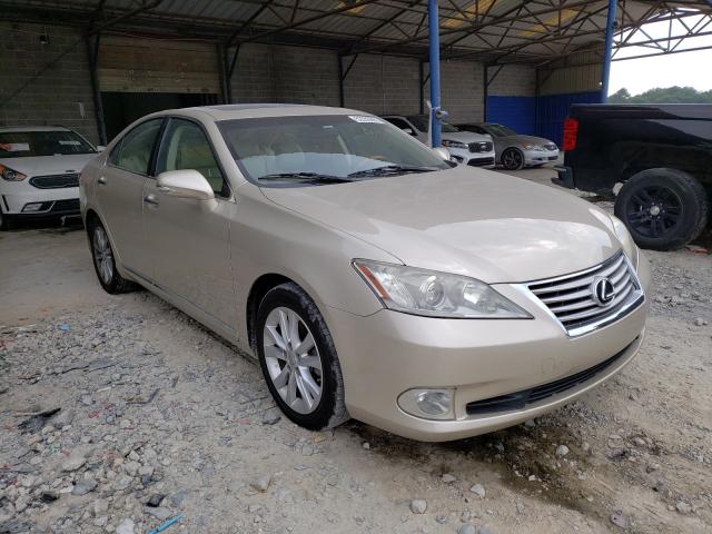 Lexus Es 350 (2010)