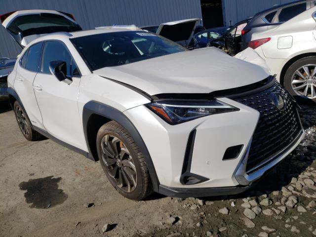 Lexus Ux250h (2019)