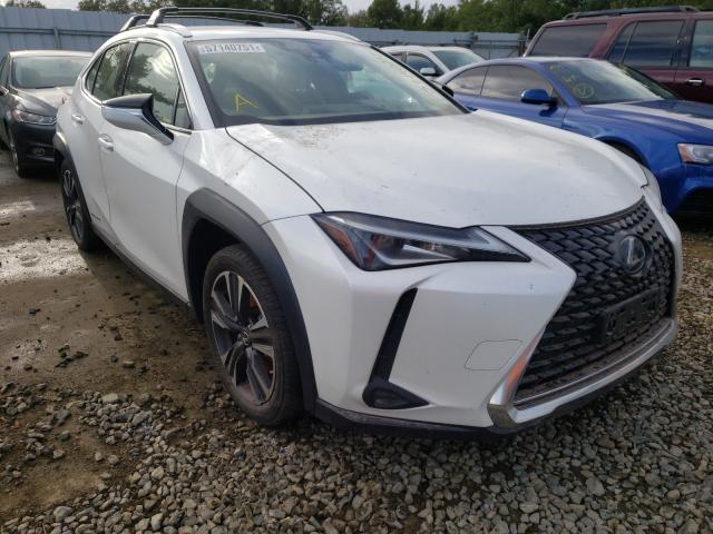 Lexus Ux 250h (2019)