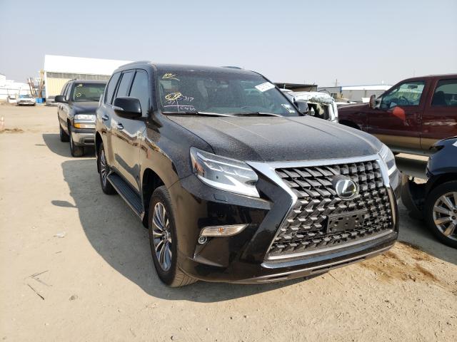Lexus Gx 460 lux (2020)
