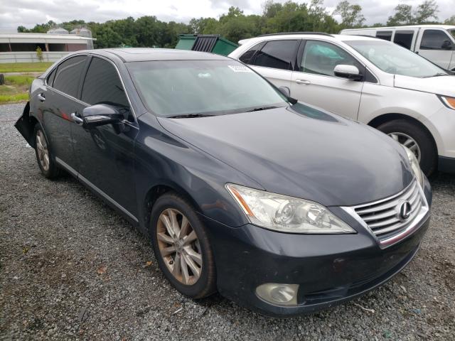Lexus Es 350 (2010)