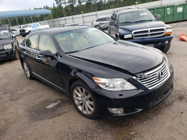 Lexus Ls 460 (2011)