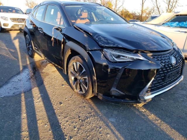 Lexus Ux 250h (2020)